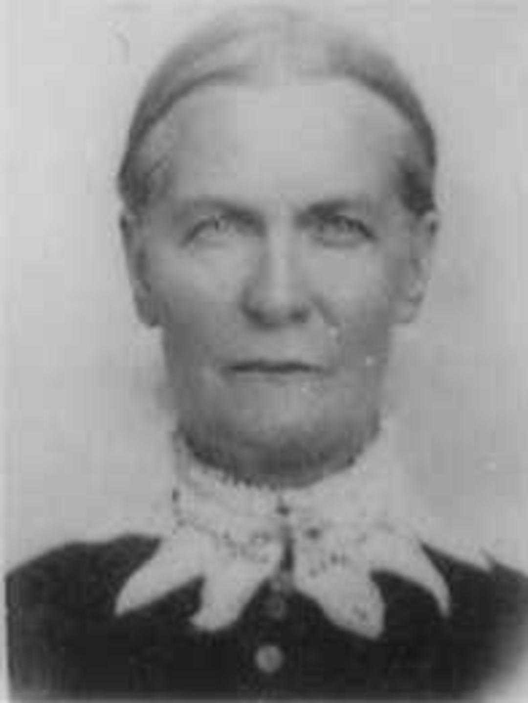 Sarah Ann Taylor (1843 - 1913) Profile